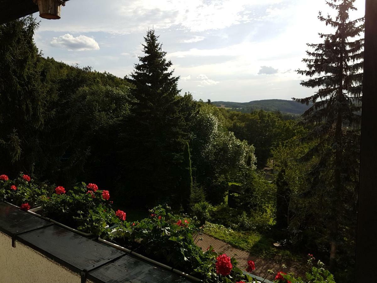 Schweizer Haus * Wippra